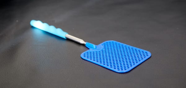 The Flyswatter Story