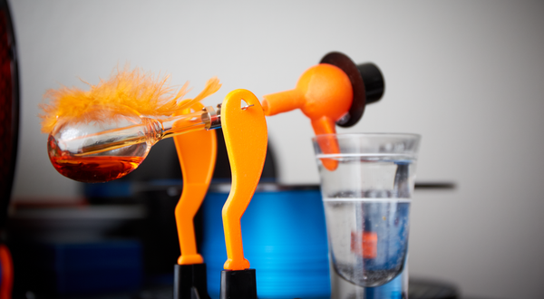 Drinking Bird's Leg